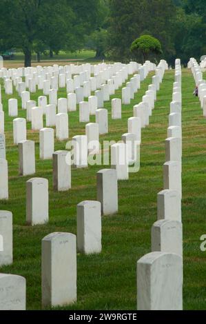 Lapidi, il Cimitero Nazionale di Arlington, Virginia Foto Stock