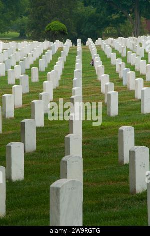 Lapidi, il Cimitero Nazionale di Arlington, Virginia Foto Stock