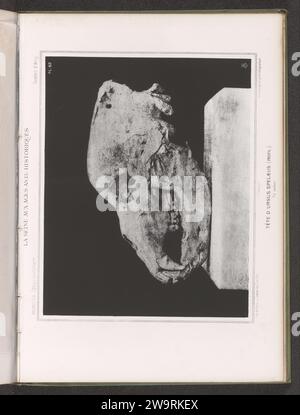 Cranio di un orso, e profil, c. 1860 - in o prima del 1869 stampa fotomeccanica Franceparisprinter: ParisEditore: ParisParis paper photolitography paleontogy. Animali (+ scheletro di un animale) Francia Foto Stock