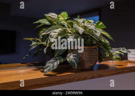 Vista ravvicinata di una pianta in vaso artificiale su un cornicione di quercia al coperto con uno specchio scuro sullo sfondo Foto Stock