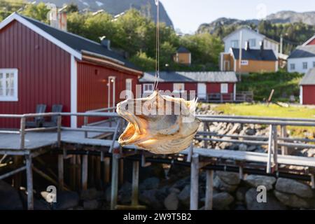 Una testa di pesce essiccato appesa a un gancio con tradizionali capanne rosse norvegesi Rorbu e un paesaggio aspro sullo sfondo Foto Stock