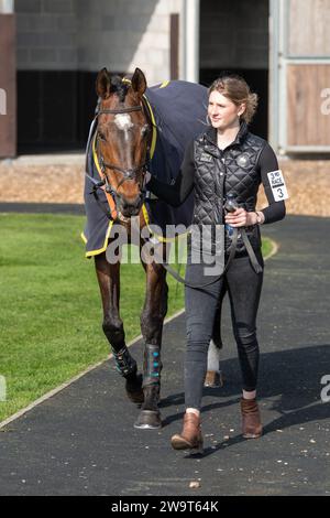 Il Doyen russo, guidato da Nick Scholfield e allenato da Jeremy Scott, è secondo nella categoria 3 handicap Steeple Chase a Wincanton, il 21 marzo Foto Stock