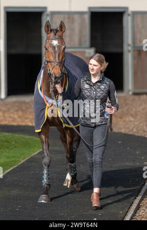 Il Doyen russo, guidato da Nick Scholfield e allenato da Jeremy Scott, è secondo nella categoria 3 handicap Steeple Chase a Wincanton, il 21 marzo Foto Stock