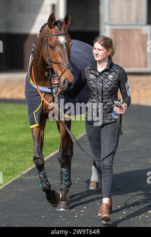 Il Doyen russo, guidato da Nick Scholfield e allenato da Jeremy Scott, è secondo nella categoria 3 handicap Steeple Chase a Wincanton, il 21 marzo Foto Stock