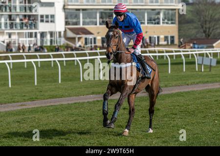 Il Doyen russo, guidato da Nick Scholfield e allenato da Jeremy Scott, è secondo nella categoria 3 handicap Steeple Chase a Wincanton, il 21 marzo Foto Stock