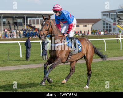 Il Doyen russo, guidato da Nick Scholfield e allenato da Jeremy Scott, è secondo nella categoria 3 handicap Steeple Chase a Wincanton, il 21 marzo Foto Stock