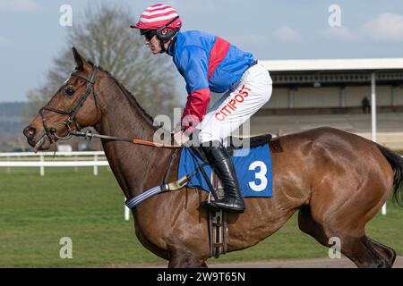 Il Doyen russo, guidato da Nick Scholfield e allenato da Jeremy Scott, è secondo nella categoria 3 handicap Steeple Chase a Wincanton, il 21 marzo Foto Stock