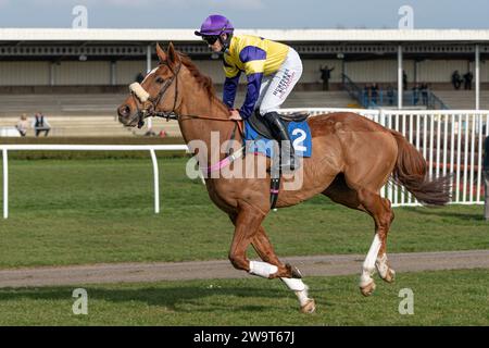 Finanziere, guidato da Richard Patrick e allenato da Kerry Lee, che corre nell'handicap Steeple Chase a Wincanton, il 21 marzo 2022 Foto Stock