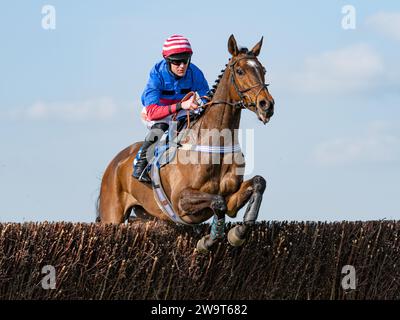 Il Doyen russo, guidato da Nick Scholfield e allenato da Jeremy Scott, è secondo nella categoria 3 handicap Steeple Chase a Wincanton, il 21 marzo Foto Stock