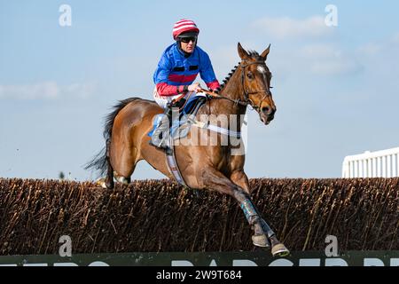 Il Doyen russo, guidato da Nick Scholfield e allenato da Jeremy Scott, è secondo nella categoria 3 handicap Steeple Chase a Wincanton, il 21 marzo Foto Stock