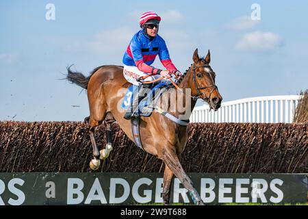 Il Doyen russo, guidato da Nick Scholfield e allenato da Jeremy Scott, è secondo nella categoria 3 handicap Steeple Chase a Wincanton, il 21 marzo Foto Stock