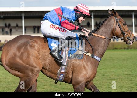 Il Doyen russo, guidato da Nick Scholfield e allenato da Jeremy Scott, è secondo nella categoria 3 handicap Steeple Chase a Wincanton, il 21 marzo Foto Stock