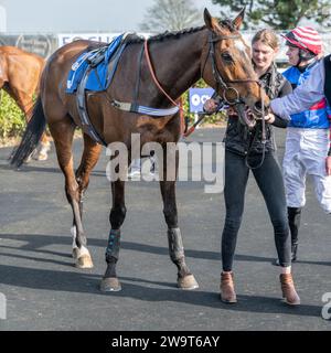 Il Doyen russo, guidato da Nick Scholfield e allenato da Jeremy Scott, è secondo nella categoria 3 handicap Steeple Chase a Wincanton, il 21 marzo Foto Stock