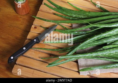 Aloe vera fresca cruda con coltello sul tavolo dopo la mietitura Foto Stock