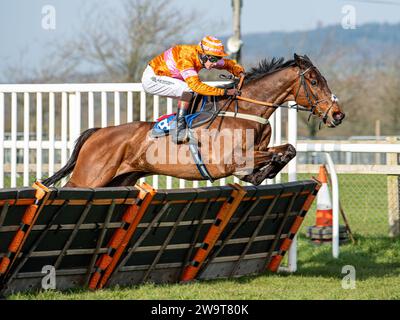 Name in Lights, sotto il fantino Brendan Powell, libera l'ostacolo per andare avanti e vincere la quarta gara a Wincanton, il 21 marzo 2022. Addestrato da Colin Tizzard. Foto Stock