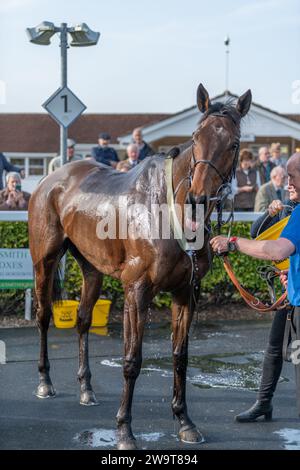 Name in Lights con il fantino Brendan Powell e lo sposo Richie nella posizione di vincitore nella parata post gara per la quarta gara a Wincanton, il 21 marzo 2 Foto Stock