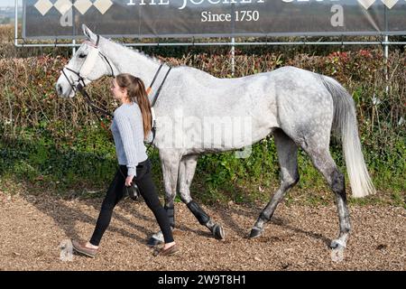 Tikk Tock Boom, guidato da Tom Scudamore e allenato da Ian Williams, corre nel Veterans' handicap Chase a Wincanton, il 21 marzo 2022 Foto Stock