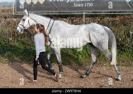 Tikk Tock Boom, guidato da Tom Scudamore e allenato da Ian Williams, corre nel Veterans' handicap Chase a Wincanton, il 21 marzo 2022 Foto Stock