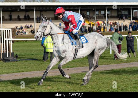 Tikk Tock Boom, guidato da Tom Scudamore e allenato da Ian Williams, corre nel Veterans' handicap Chase a Wincanton, il 21 marzo 2022 Foto Stock