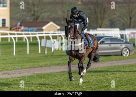 Coup de Pinceau, guidato da Brendan Powell e addestrato da Colin Tizzard, corre sopra le recinzioni a Wincanton Foto Stock