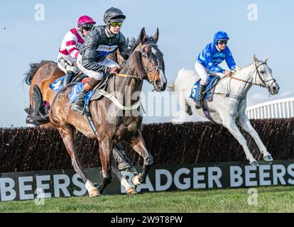 Keltus e Coup de Pinceau gareggiano sulle recinzioni di Wincanton Foto Stock