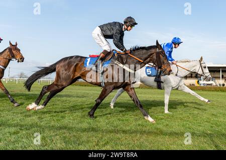 Keltus e Coup de Pinceau gareggiano sulle recinzioni di Wincanton Foto Stock