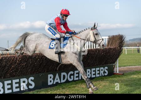 Tikk Tock Boom, guidato da Tom Scudamore e allenato da Ian Williams, corre nel Veterans' handicap Chase a Wincanton, il 21 marzo 2022 Foto Stock