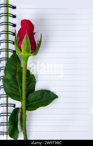 L'immagine ravvicinata di una singola rosa rossa poggia su un notebook di ricordi. Foto Stock