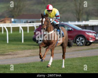 State Crown, guidata da Isabel Williams e allenata da Evan Williams, corsa all'handicap hurdle a Wincanton, il 21 marzo 2022 Foto Stock