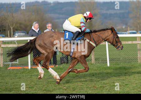 State Crown, guidata da Isabel Williams e allenata da Evan Williams, corsa all'handicap hurdle a Wincanton, il 21 marzo 2022 Foto Stock