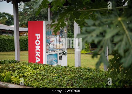 Singapore - 9 luglio 2023: Pokka Vending Machine Behind Vegatation Foto Stock