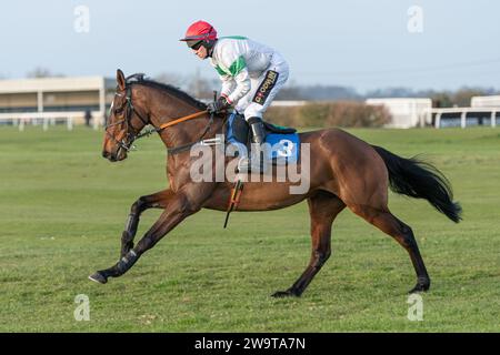 Megaudais Speed vince a Wincanton, guidata da Gavin Sheehan e allenata da Laura Young, il 21 marzo 2022 Foto Stock