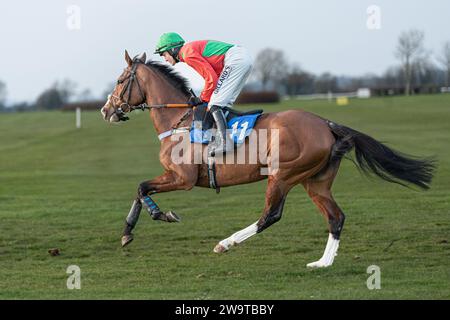 Bees and Honey, guidato da David Noonan e allenato da Richard Hawker, corre nell'ostacolo handicap a Wincanton, il 21 marzo 2022 Foto Stock