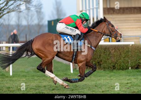 Bees and Honey, guidato da David Noonan e allenato da Richard Hawker, corre nell'ostacolo handicap a Wincanton, il 21 marzo 2022 Foto Stock