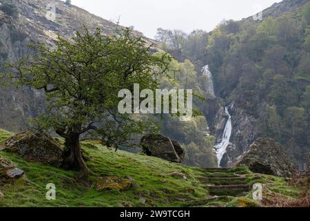 Aber Falls vicino ad Abergwyngregyn, ai margini delle montagne Carneddau nel Galles del Nord. Foto Stock