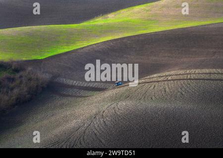 Trattore che ara i campi in Toscana al tramonto. Volterra, provincia di Pisa. Italia Foto Stock