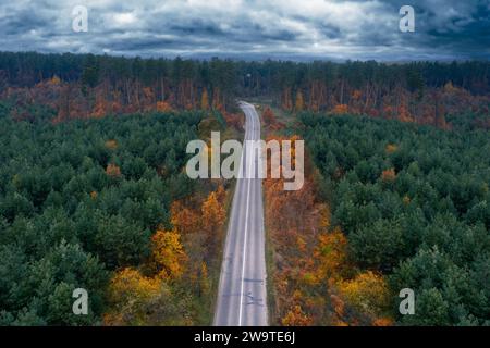 Vista aerea della strada di campagna vuota nella foresta autunnale in un giorno nuvoloso. Foto Stock
