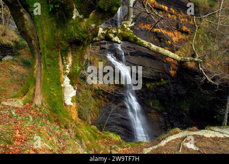 Cascata di Uguna nel Parco naturale di Gorbeia (Gorbea). Bizkaia. Paesi baschi. Spagna Foto Stock