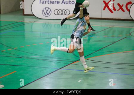 Gijon, Spagna. 29 dicembre 2023. Il giocatore di Mecalia Atletico Guardes, Cristina Cifuentes (17) tira in porta durante la 13a giornata della Liga Guerreras Iberdrola 2023-24 tra Motive.co Gijon Balonmano la Calzada e Mecalia Atletico Guardes, il 29 dicembre 2023, al Padiglione la Arena, a Gijon, in Spagna. ers/Alamy Live News. (Foto di Alberto Brevers/Pacific Press) Foto Stock