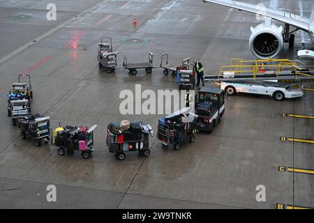 I carrelli pieni di bagagli sono in piedi accanto all'aereo e due operatori aeroportuali li caricano sull'aereo con un trasportatore. Foto Stock