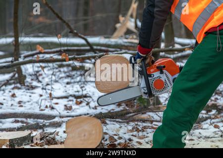 l'uomo con gilet di sicurezza e motosega taglia il tronco di faggio Foto Stock