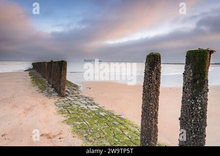 Costa di Breskens all'alba, Zelanda, Paesi Bassi. Foto Stock