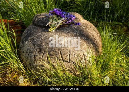 Regno Unito, Inghilterra, Surrey, Compton, Pucks Oak Barn Orchard, fiori selvatici sulla pietra commemorativa di Kathleen McAlmont Foto Stock