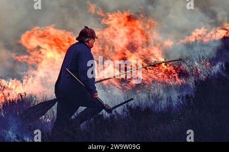 Heather brucia il modo tradizionale fiamme e fumo in una tenuta in Scozia Foto Stock