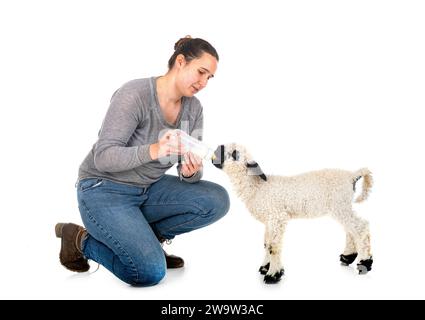 Agnello Vallese Blacknose e donna contadina di fronte a sfondo bianco Foto Stock