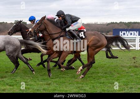 Ascot, Berkshire, 23 dicembre 2023. Horse Micro Millions (n. 4) guidato da gare di fantino Harry Skelton nell’ippodromo di Ascot sostiene la Schools Photography Competition Novices’ handicap hurdle Race il secondo giorno del weekend di corse di Natale Howden all’ippodromo di Ascot. Credito: Maureen McLean/Alamy Foto Stock