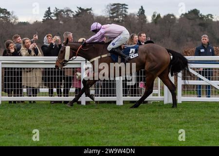 Ascot, Regno Unito. 23 dicembre 2023. Horse Harper's Brooke (IRE), guidata dal fantino Kielan Woods, conduce nel Howden handicap Steeple Chase all'ippodromo di Ascot durante l'Howden Christmas Racing Weekend Meeting. Proprietario dei Megson. Addestratore Ben Pauling, Naunton. Sponsor Fitzdares. Credito: Maureen McLean/Alamy Foto Stock