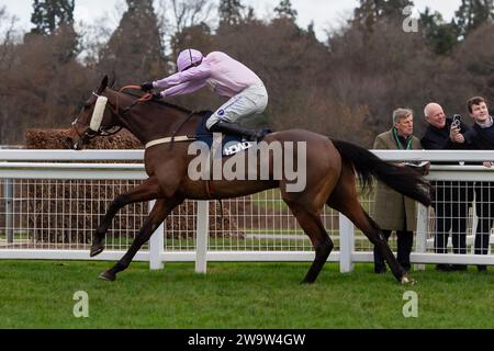 Ascot, Regno Unito. 23 dicembre 2023. Horse Harper's Brooke (IRE), guidata dal fantino Kielan Woods, conduce nel Howden handicap Steeple Chase all'ippodromo di Ascot durante l'Howden Christmas Racing Weekend Meeting. Proprietario dei Megson. Addestratore Ben Pauling, Naunton. Sponsor Fitzdares. Credito: Maureen McLean/Alamy Foto Stock