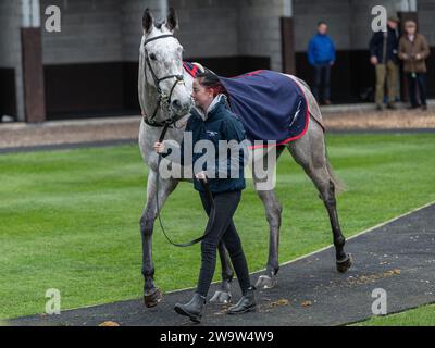 Chabichou Dupoitou è terzo a Wincanton, guidato da Tom o'Brien e allenato da Philip Hobbs, 10 marzo 2022 Foto Stock