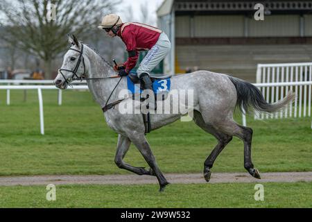 Chabichou Dupoitou è terzo a Wincanton, guidato da Tom o'Brien e allenato da Philip Hobbs, 10 marzo 2022 Foto Stock